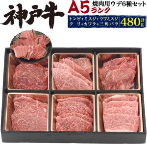 誕生日祝い 神戸牛 A5ランク ウデ カタ 6種 焼肉セット