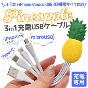 パイナップルデザインマルチ充電USBケーブル｜watch-me