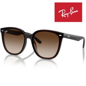 WAYFARER RayBan レイバン ウェイファーラー サングラス メガネ