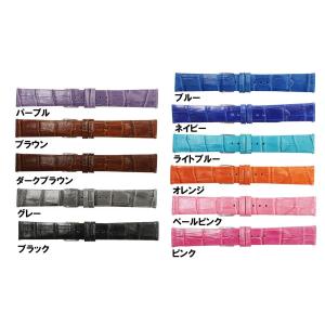 10mm 12mm 14mm 16mm 18mm 20mm 時計ベルト バンビ FIF FIFKS011 牛革 クロコダイルエンボス メンズ レディース 交換工具付き レバー式バネ棒 正規品