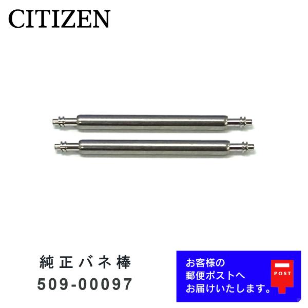 CITIZEN シチズン 純正 バネ棒 19mm 腕時計 ベルト 取り付け用 部品 パーツ 2本セッ...