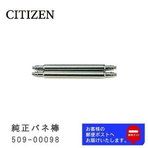 CITIZEN シチズン 純正 バネ棒 1.6mm / 20mm 腕時計ベルト 取り付け用 部品 パーツ 2本セット 509-00098｜watchlabo