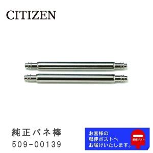 CITIZEN（シチズン） 純正 バネ棒 2.0mm / 20mm 腕時計 ベルト