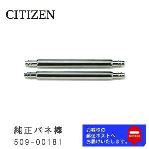 CITIZEN シチズン 純正 バネ棒 2.0mm / 23mm 腕時計ベルト 取り付け用 部品 パーツ 2本セット 509-00181｜watchlabo