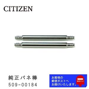 CITIZEN シチズン 純正 バネ棒 2.0mm / 23mm 腕時計ベルト 取り付け用 部品 パーツ 2本セット 509-00184｜watchlabo