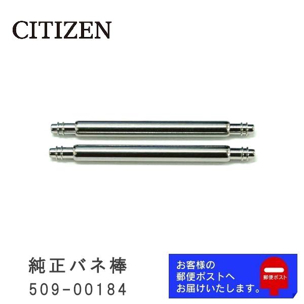 CITIZEN シチズン 純正 バネ棒 2.0mm / 23mm 腕時計ベルト 取り付け用 部品 パ...