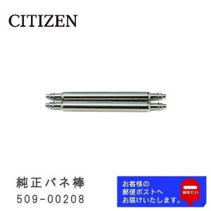 CITIZEN（シチズン） 純正 バネ棒 2.0mm / 23mm 腕時計ベルト 取り付け