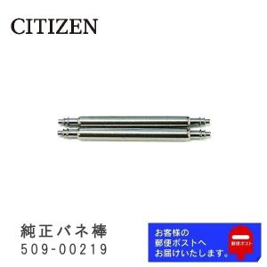 CITIZEN シチズン 純正 バネ棒 1.6mm / 21mm 腕時計ベルト 取り付け用 部品 パーツ 2本セット 509-00219｜watchlabo