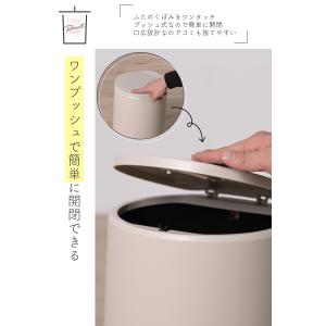 ゴミ箱 おしゃれ 分別 ふた付き 10リットル...の詳細画像2