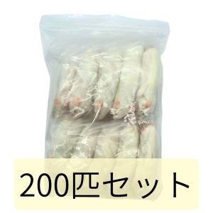 冷凍 マウス ネズミ アダルト M 20g 24g 200匹セット 餌 冷凍餌