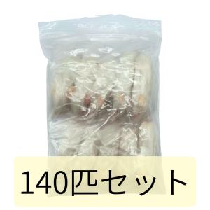 冷凍 マウス ネズミ ファジー 10g 11g ...の商品画像