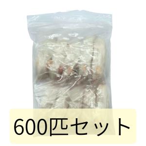 冷凍 マウス ネズミ ファジー 10g 11g 600匹セット 餌 冷凍餌