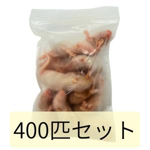 冷凍 マウス ネズミ ピンクマウス L 4g 6g 400匹セット 餌 冷凍餌