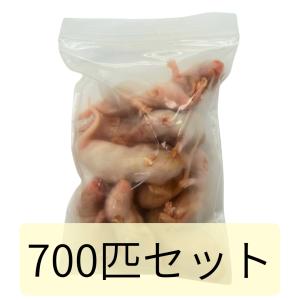 冷凍 マウス ネズミ ピンクマウス L 4g 6g 700匹セット 餌 冷凍餌