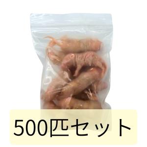 冷凍 マウス ネズミ ピンクマウス M 3g 4g 500匹セット 餌 冷凍餌