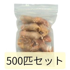 冷凍 マウス ネズミ ピンクマウス S 2g 3g 500匹セット 餌 冷凍餌