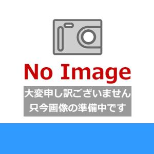 #FJ-SP2C10BK カクダイ KAKUDAI レンジフード用横幕板 高さ100mm｜water-space