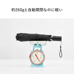 Waterfront 公式 折りたたみ傘 カル...の詳細画像2