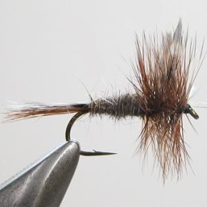 完成品フライ アダムス