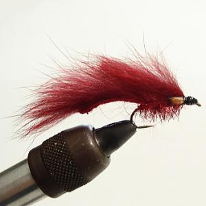 完成品フライ ゾンカー