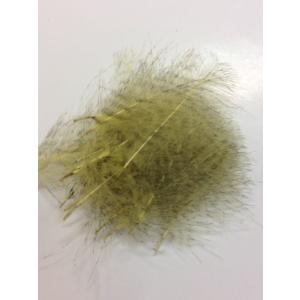 モトルドCDC 【8パックまでゆうパケット便（305円）可能】