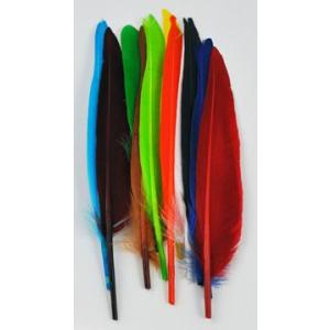 アングル ダッククイル1ペア 【8パックまでゆうパケット便（305円）可能】