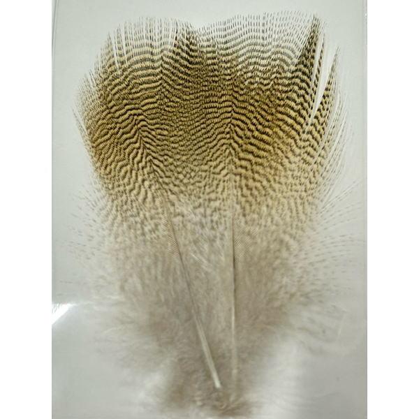 10パック限定価格！ウッドダックレモン　EXT　メール便もOK