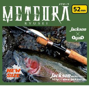 VAGABOND（ヴァガボンド） サーフェイススペシャル MEDIUM 6.0