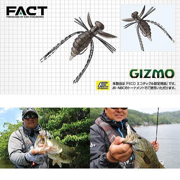 エバーグリーン ファクト ギズモ