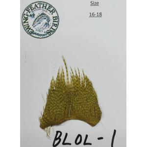 特別価格！E-wing PROグレード ハックル ミニパック #16-18 Bleached Olive・Na Grizzly　18pacまでメール便OKの商品画像