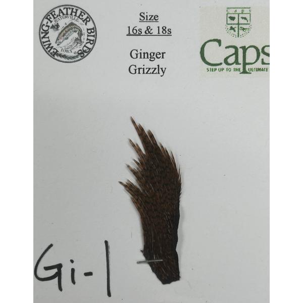 特別価格！E-wing PROグレード ハックル ミニパック #16-18 Ginger・White...