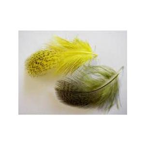 パートリッジグレーネックDYD 1g Mixパック