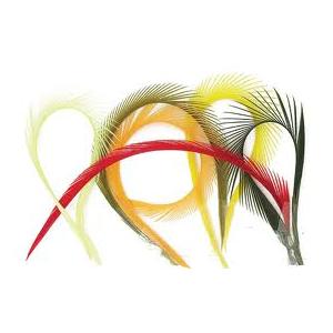 グースバイオット