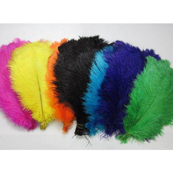 アングルオーストリッチプルーム　ラージ