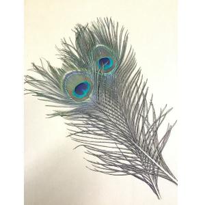 ピーコックブルーネックケープ Hermit Fly Shop / Peacock