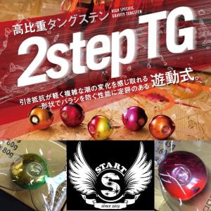 スタート 2step TGヘッド 45ｇ｜waterhouse