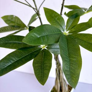 リアルな人工観葉植物 パキラ110cm 光触媒...の詳細画像4