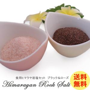 ヒマラヤ岩塩 食用ブラック岩塩パウダー（粗め） 1kg×5袋 合計5kg