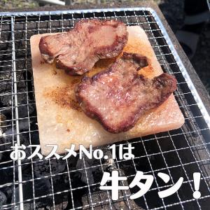 ヒマラヤ岩塩プレートMサイズ1枚 遠赤外線効果...の詳細画像3