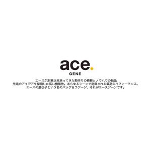エースジーン ace.GENE ガジェタブルヘ...の詳細画像1