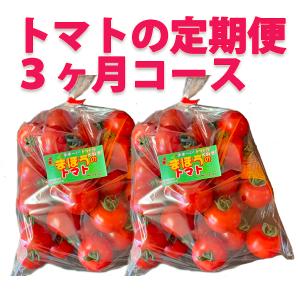 【会員限定】トマトの定期便（３ヶ月コース）｜watom