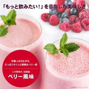 ビーレジェンド beLEGEND プロテイン ...の詳細画像1