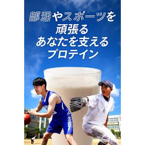 ビーレジェンド beLEGEND プロテイン ...の詳細画像2