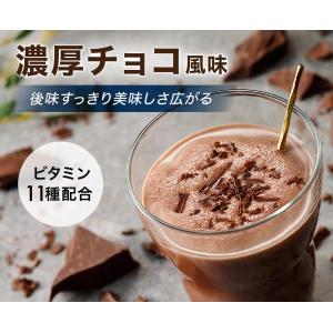 アンビーク オールインワン プロテイン ホエイ...の詳細画像1