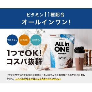 アンビーク オールインワン プロテイン ホエイ...の詳細画像2