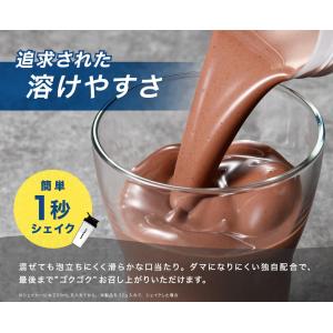 アンビーク オールインワン プロテイン ホエイ...の詳細画像5