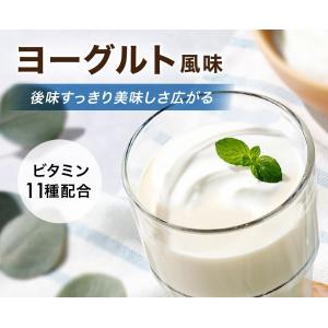アンビーク オールインワン プロテイン ヨーグ...の詳細画像1