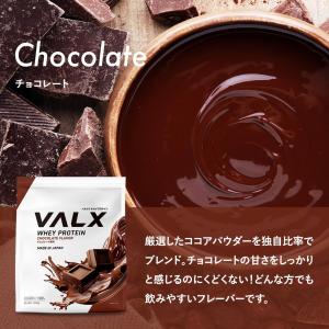 VALX バルクス ホエイ プロテイン 1kg...の詳細画像5