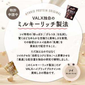 VALXハイブリッドプロテイン 1kg カフェ...の詳細画像4