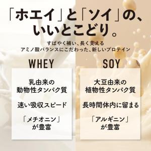 VALXハイブリッドプロテイン 1kg カフェ...の詳細画像5